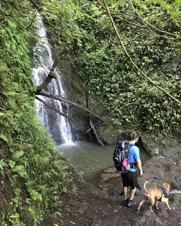 Veel klanten ervaren merkbaar meer comfort met onze schoenen.