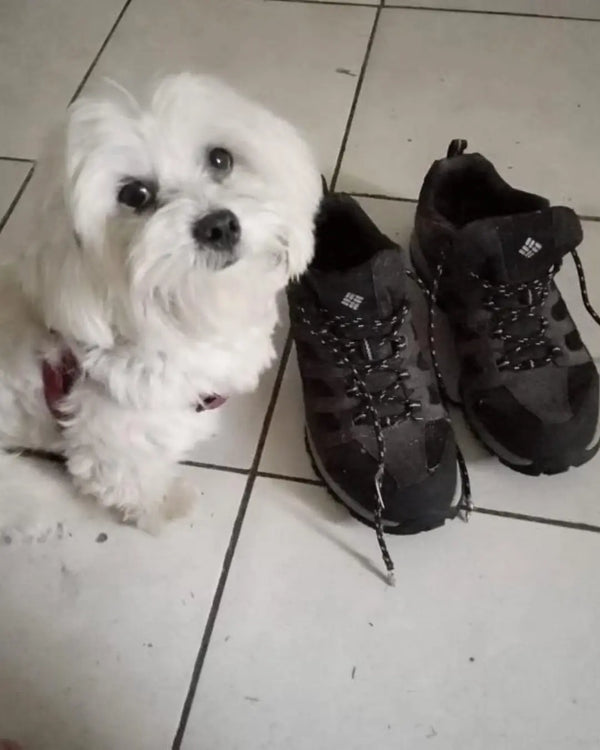 Veel klanten ervaren merkbaar meer comfort met onze schoenen.